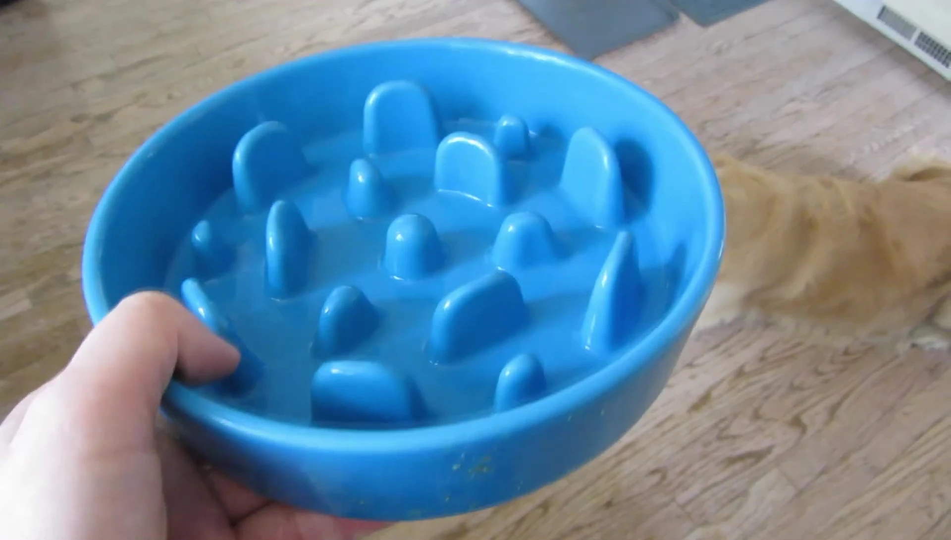 The bowl's interior, showing the design that slows down eating.