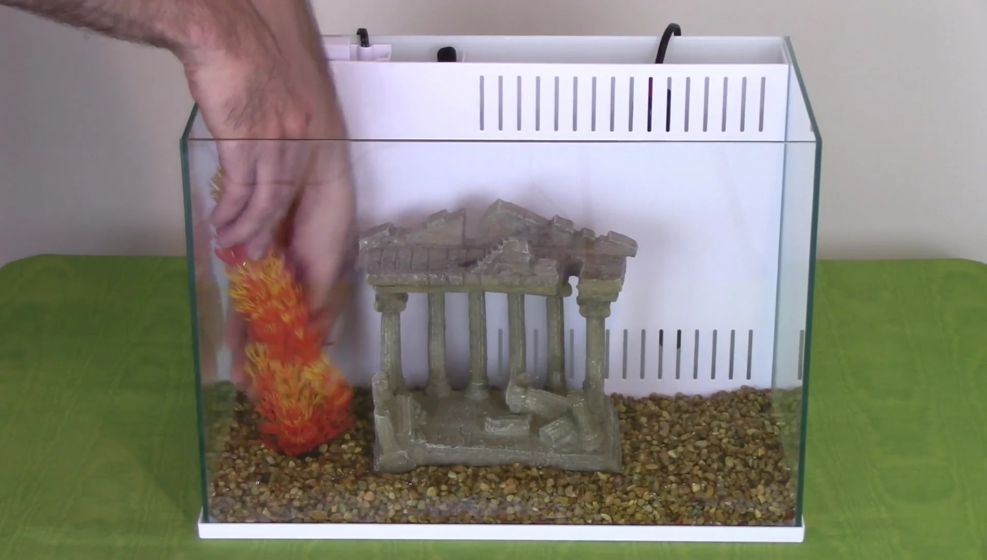 Plastic plants and aquarium decor