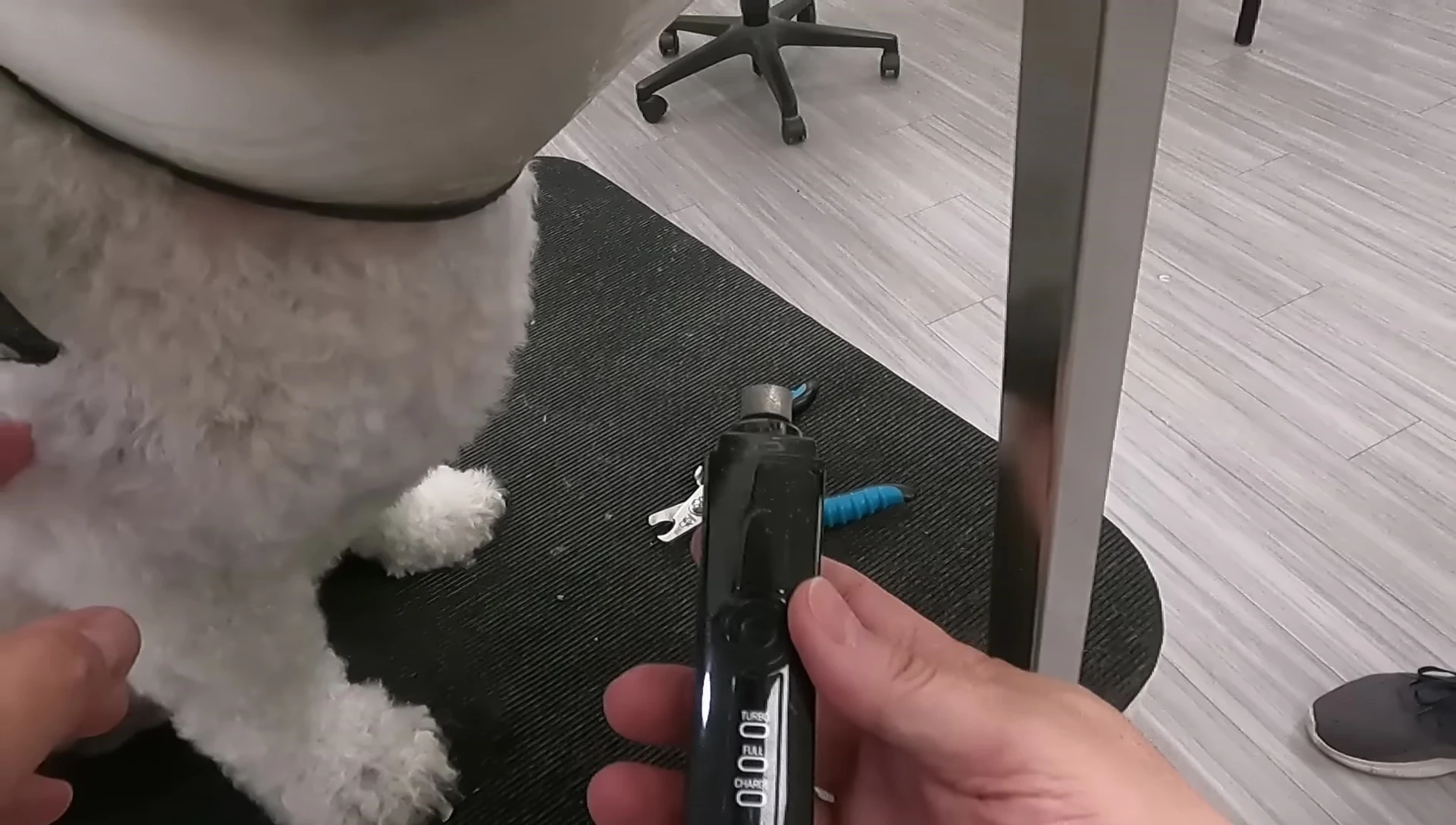 The groomer holding an electric nail grinder.