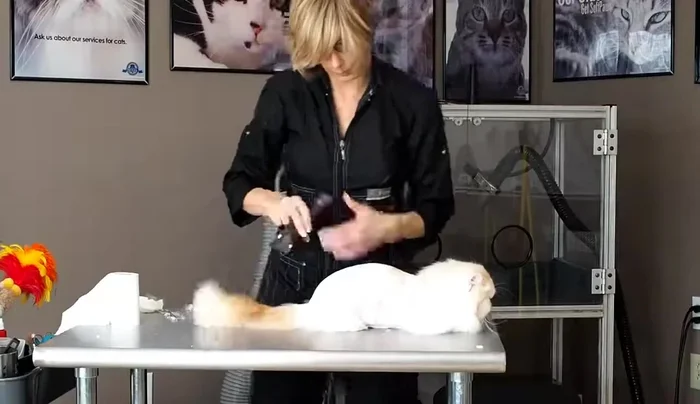 Use a set-and-define approach for crisp lines (shave with the growth initially, then against it to define).