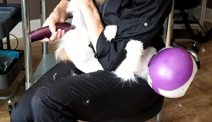 If the cat flails, stop, reposition, and start over.