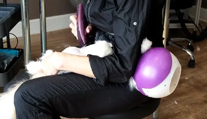 Employ a hold-and-stretch technique with one hand to keep the legs still and skin taut.