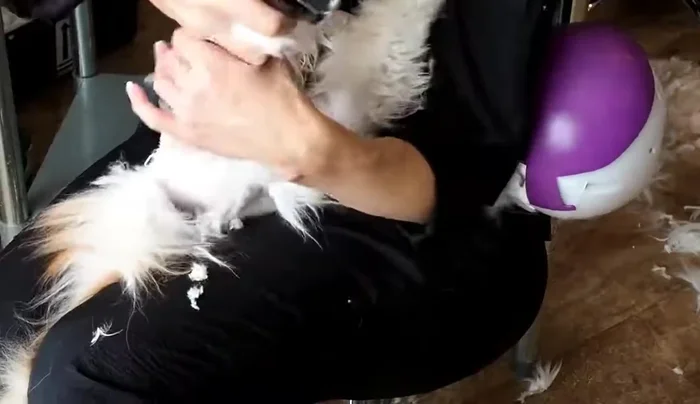 Use a set-and-define approach for crisp lines (shave with the growth initially, then against it to define).