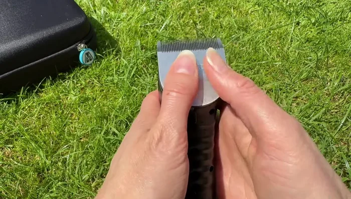Switch the trimmer on to ensure the blade is properly in place.