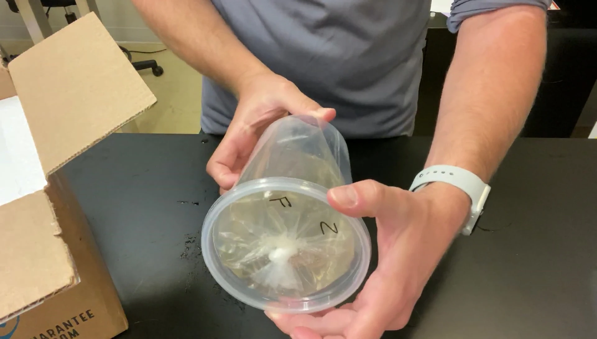 Close-up of the crayfish in its container