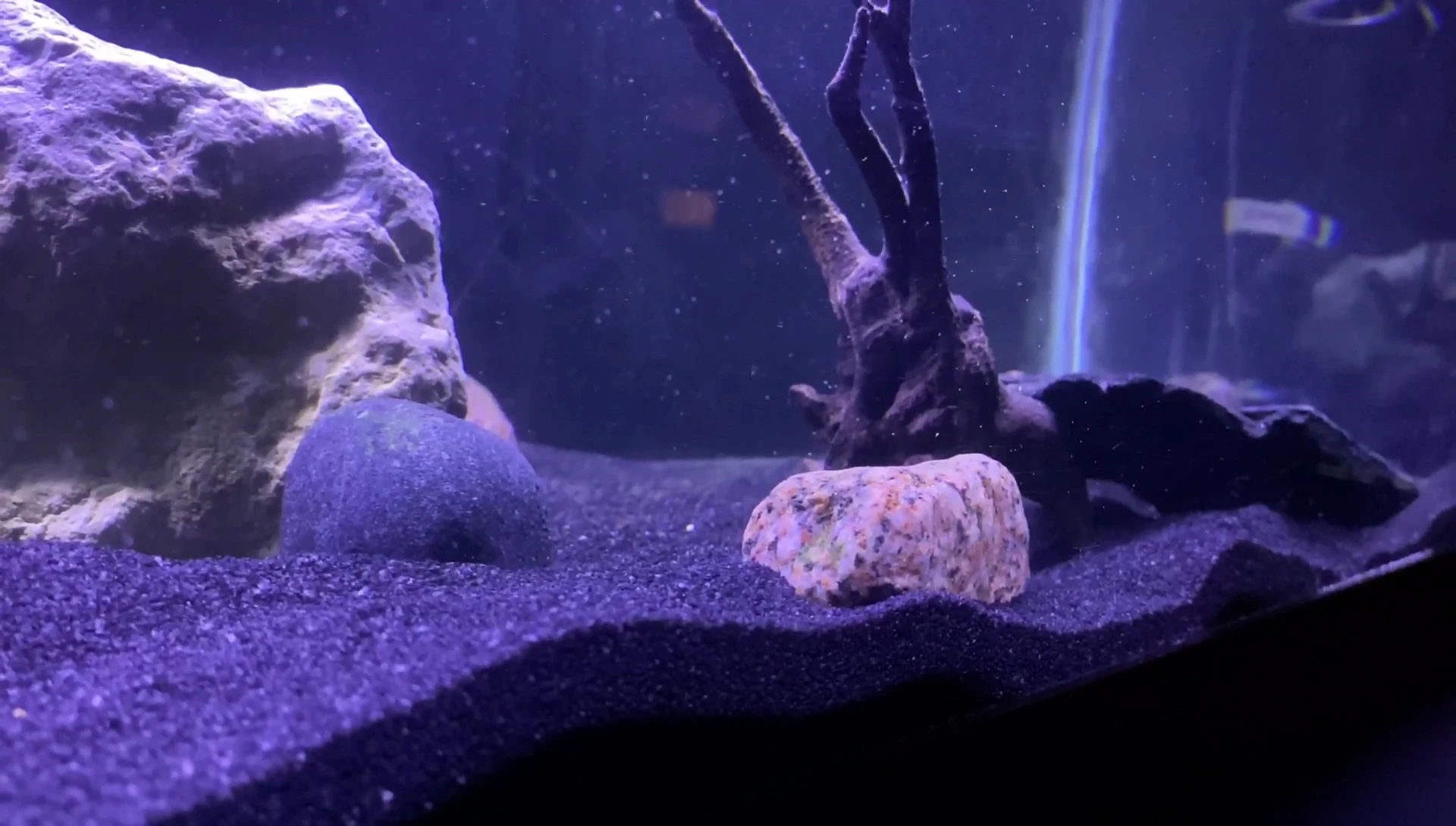Discussing future plans for the aquarium