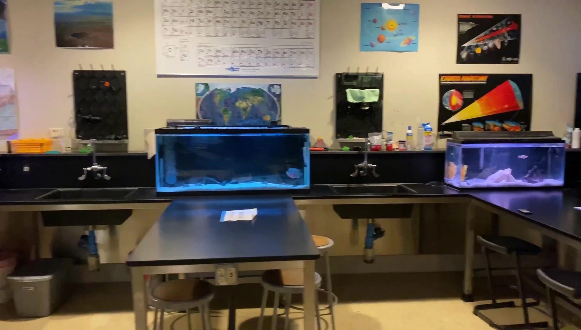 Overview of the classroom aquarium setup