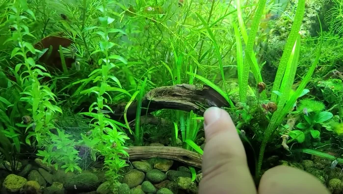 Use a saw or hatchet for easier wood preparation.