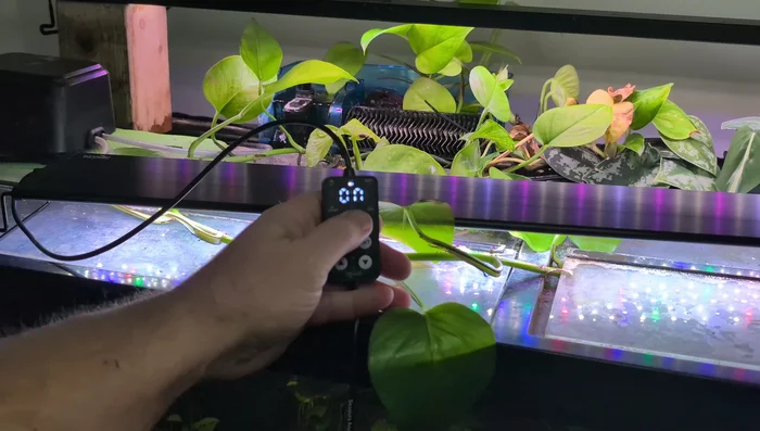 Set Daylight Intensity: Adjust the light intensity using the up/down buttons, ranging from 5% to 100% in 5% increments.