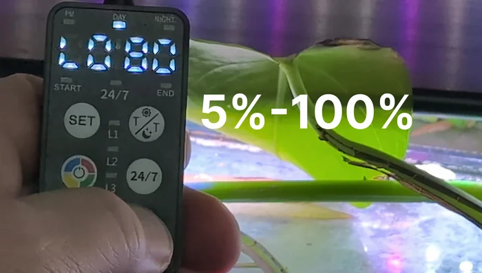 Set Daylight Intensity: Adjust the light intensity using the up/down buttons, ranging from 5% to 100% in 5% increments.