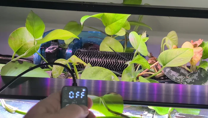 Confirm Daylight Settings: Press the Day/Night mode button to confirm all daylight settings.
