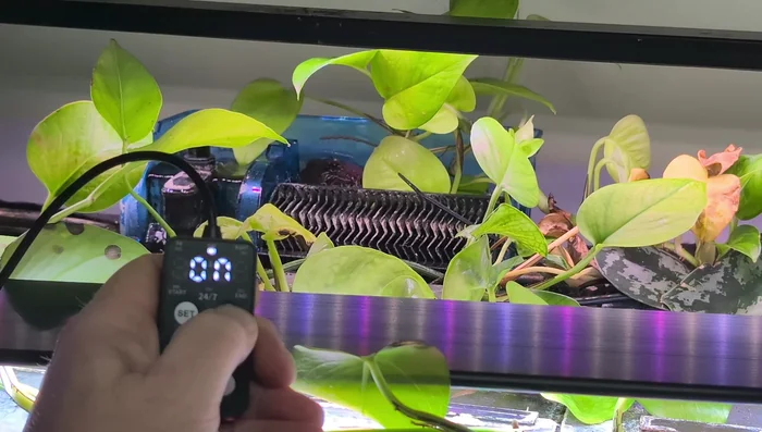 Select Nightlight Color: Choose a color (1-9) using the up/down buttons. Options include various shades to simulate sunset or moonlight.