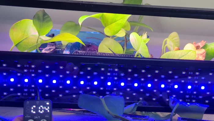 Select Nightlight Color: Choose a color (1-9) using the up/down buttons. Options include various shades to simulate sunset or moonlight.