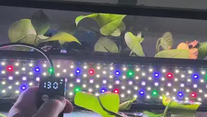 Mastering Day & Night Modes: SR657 Sierra Aquarium Plant Light Setup