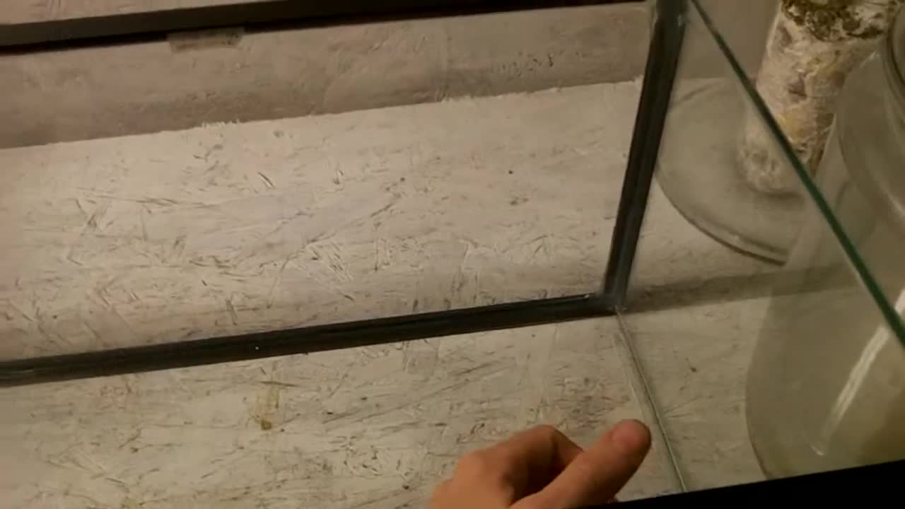 Spray bottle of rubbing alcohol.