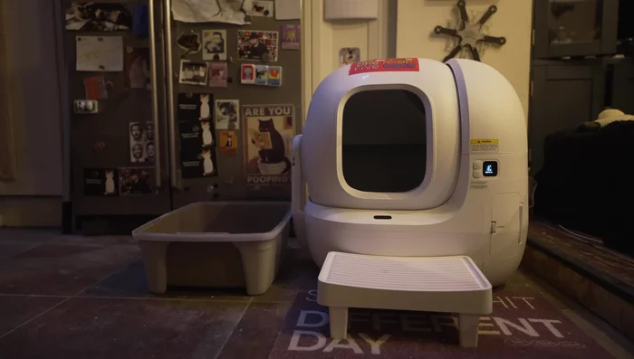 Add some used litter from the manual box to the automatic box to make the new box smell familiar to your cat.