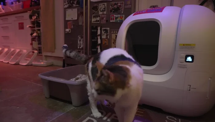 Encourage your cat to use the new box. If you see them using the new box, give them a treat as positive reinforcement. If they are still using the manual box, allow it to get dirty to encourage them to use the clean automatic box.