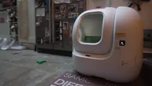Successfully Transition Your Cat to an Automatic Litter Box: A Step-by-Step Guide