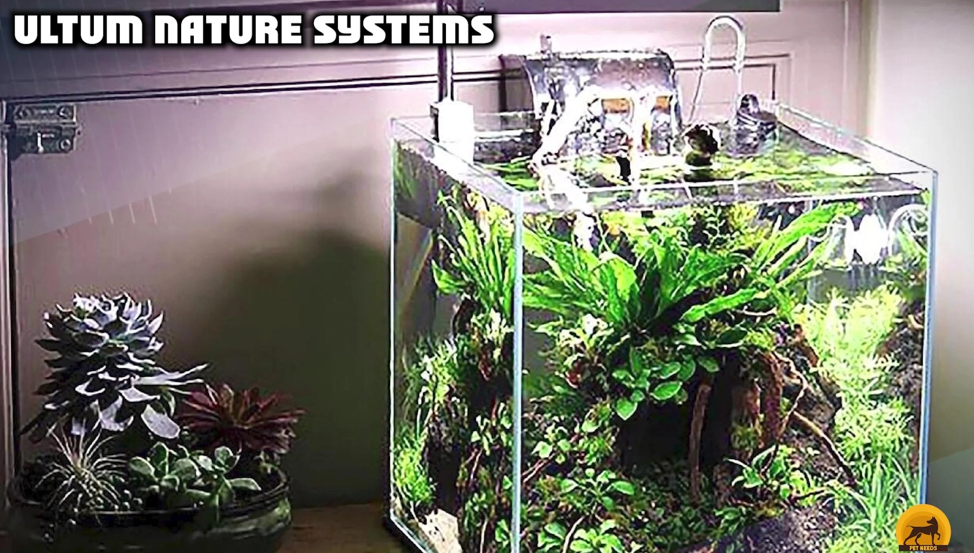 Showcase of the Aqua Nature Systems aquarium, highlighting its clarity and size variations.