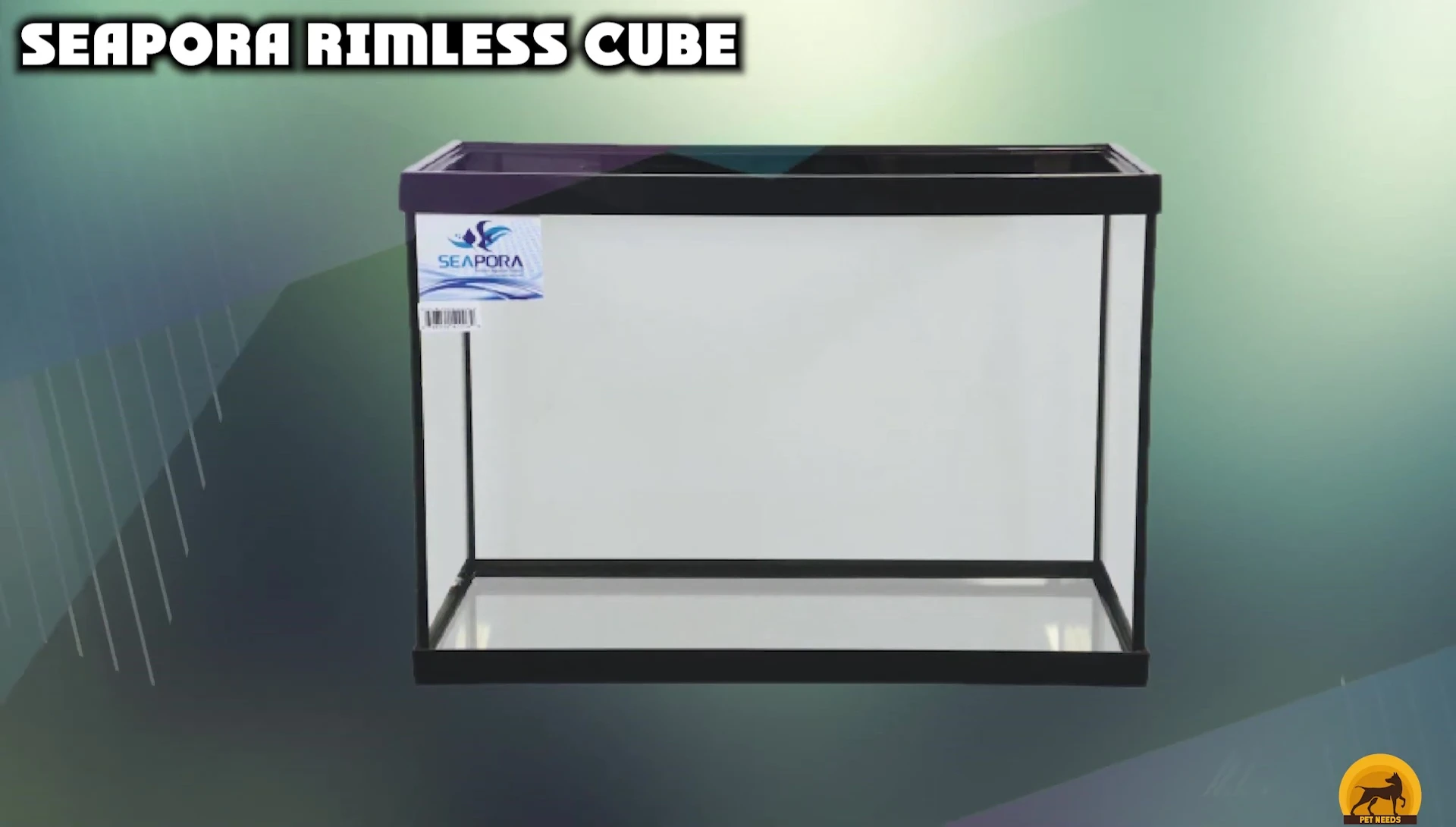 Overview of the Seaport rimless cube aquarium highlighting its compartmentalized design.