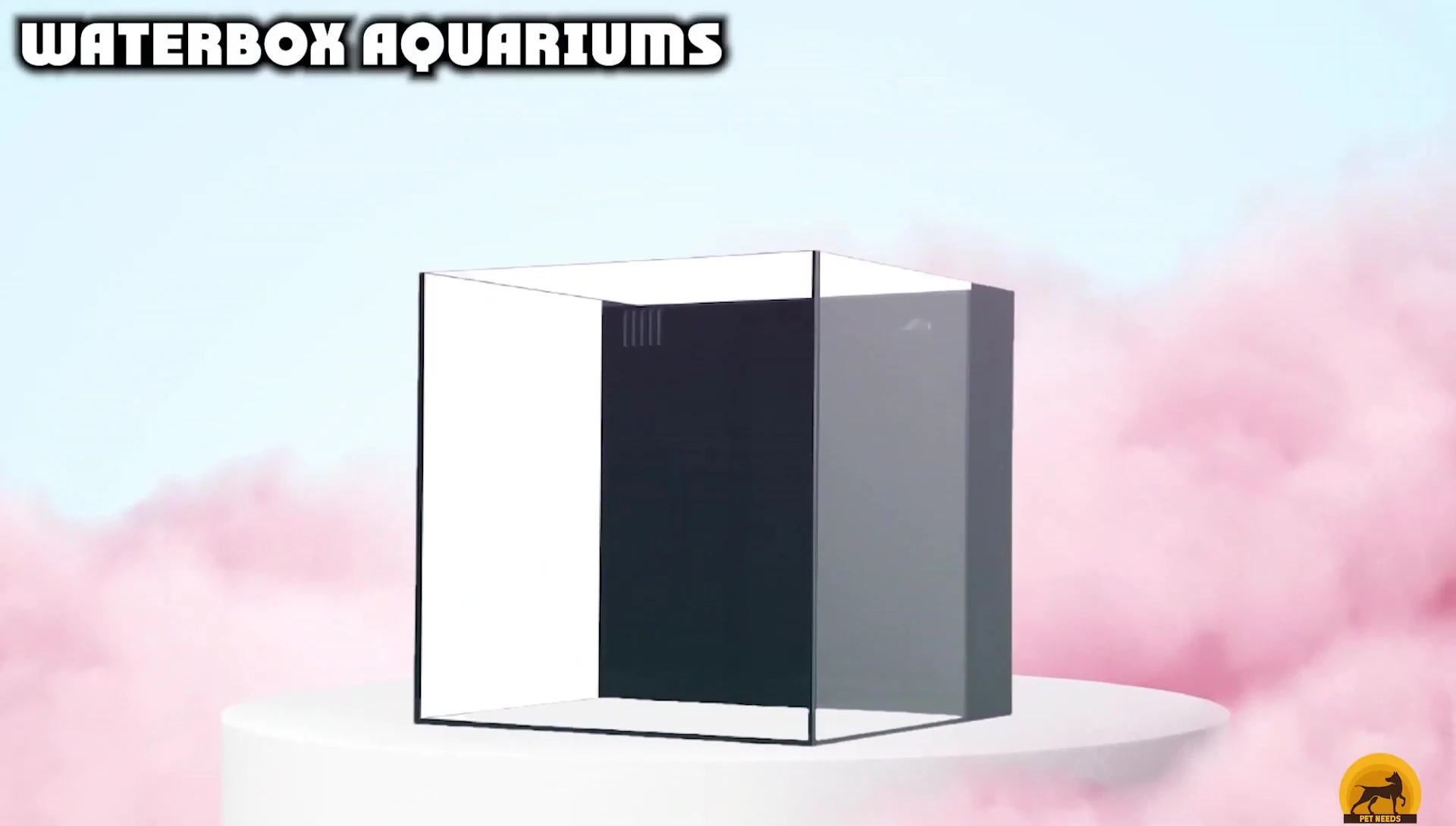 Overview of the Waterbox rimless aquarium range and its various size options.