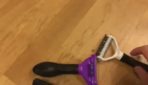 Cat Brush Review: Finding the Purrfect Tool for Shedding Season