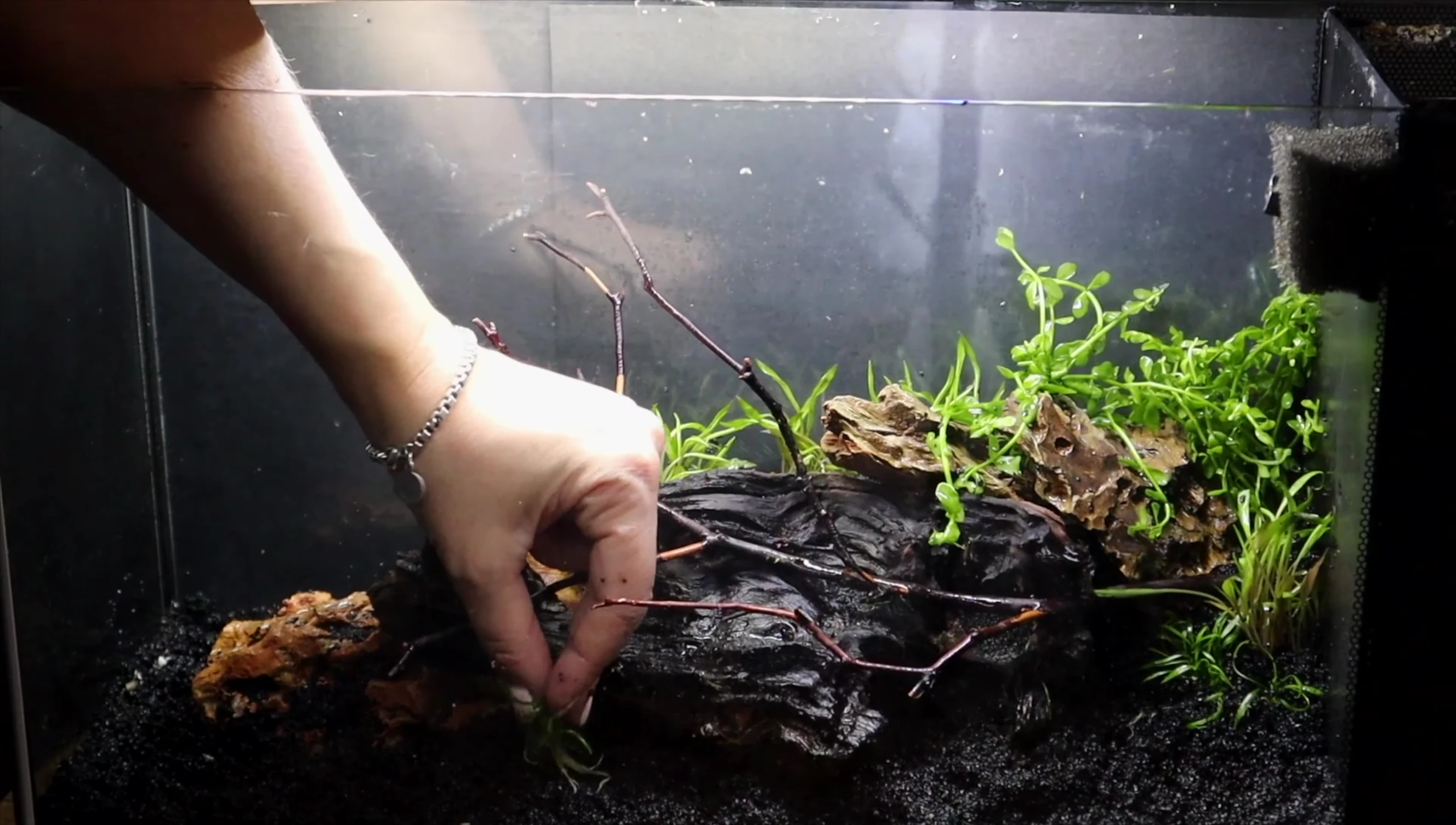 Close-up of hands working with sand in a nano tank.