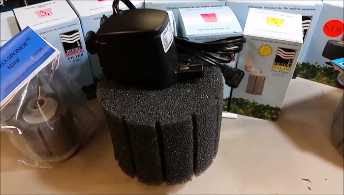 Place the lift tube into the aquarium.