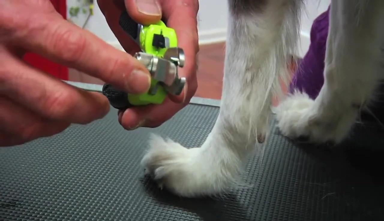Demonstration of the safety guide on the Furminator nail trimmer
