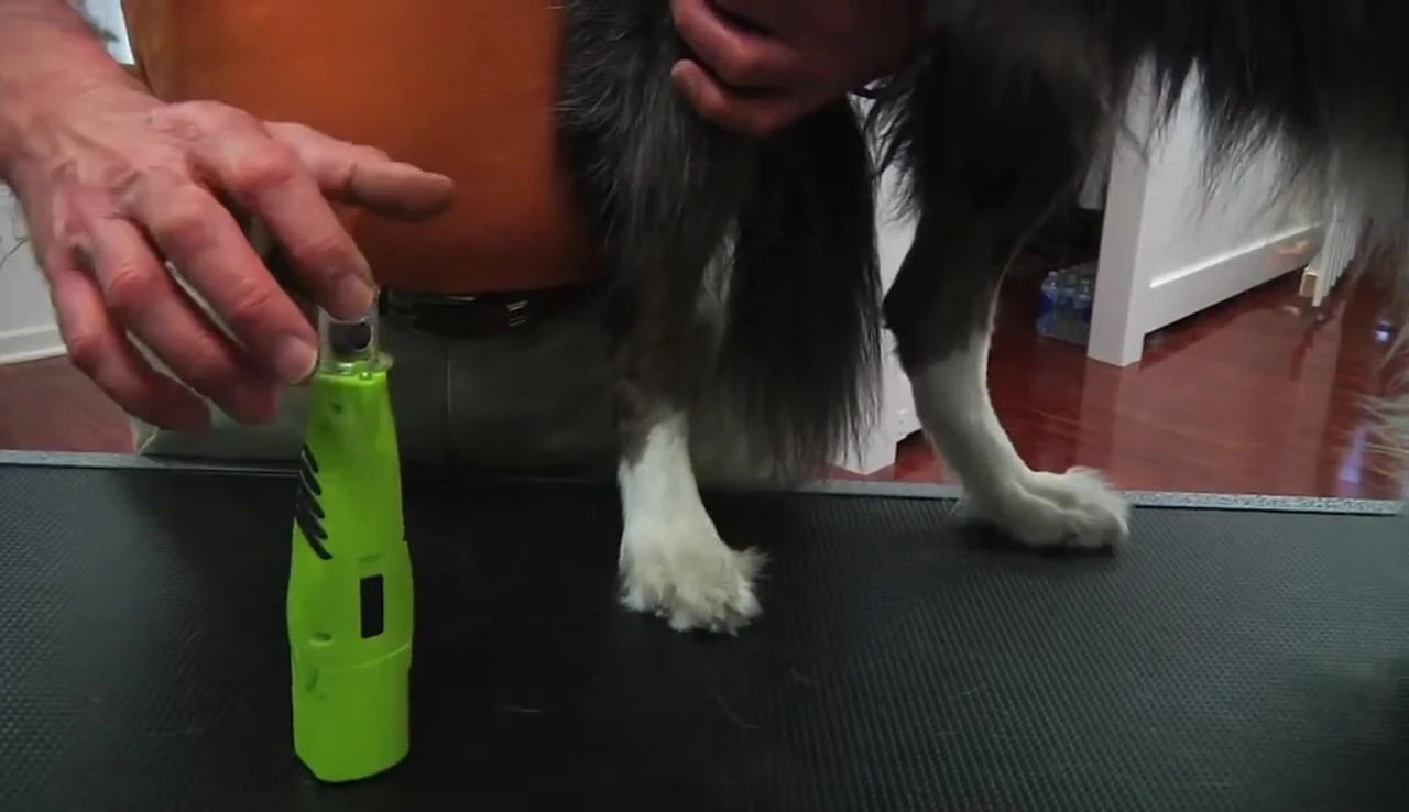 Highlighting the safety guide and LED light on the grinder