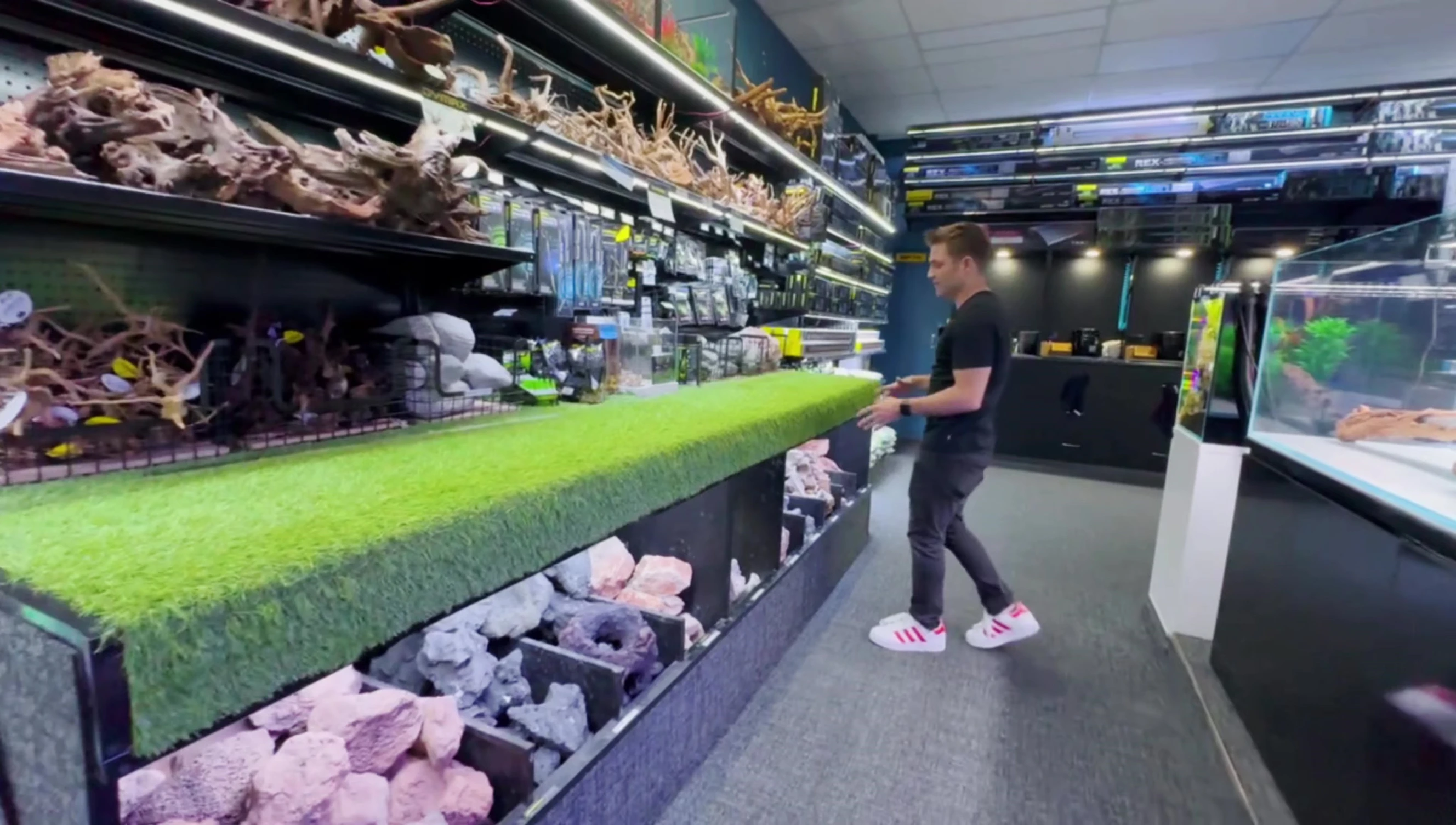 A customer planning an aquascape using the store's materials.