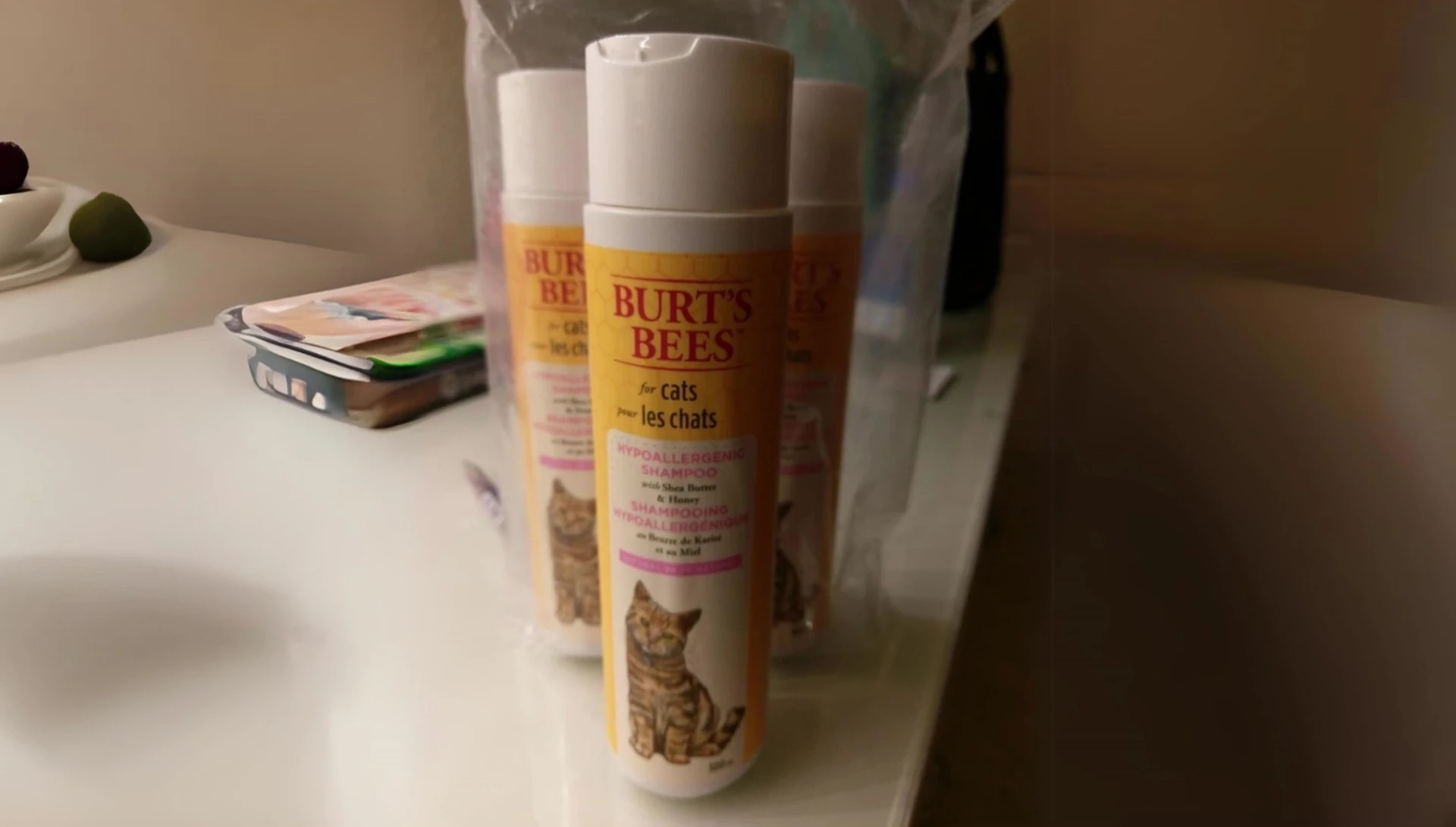 Cat with a healthy, shiny coat after using BS Bees for Pets Hypoallergenic Shampoo
