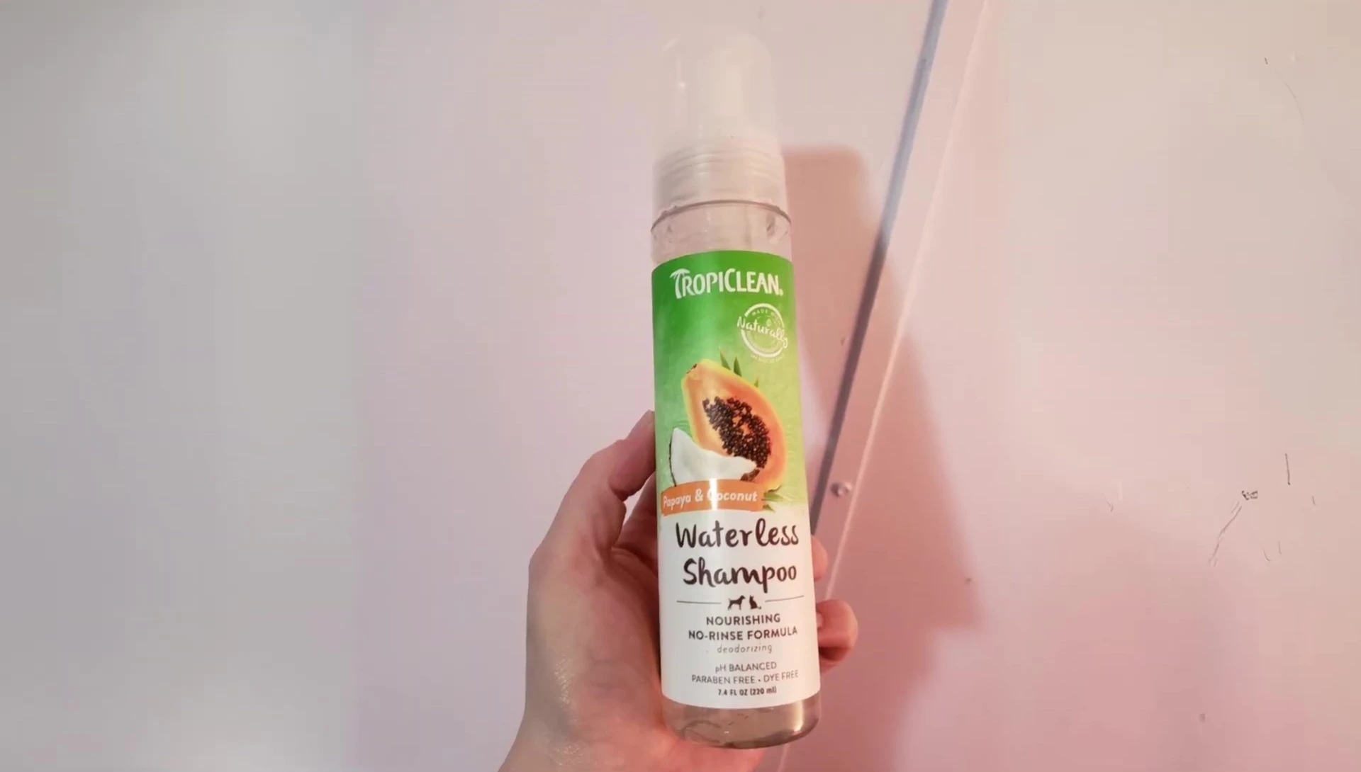 A happy cat after using Tropiclean Aqua Coconut Waterless Cat Shampoo