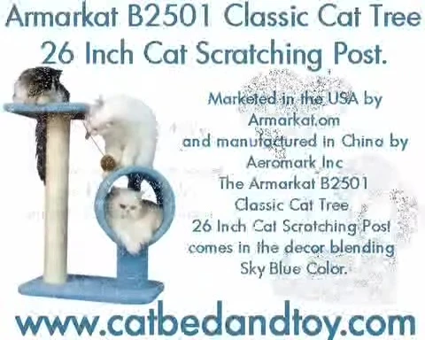 Image highlighting the sky blue color and the material of the cat tree