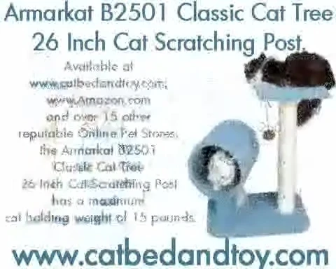 Screen displaying the website catbedandtoy.com
