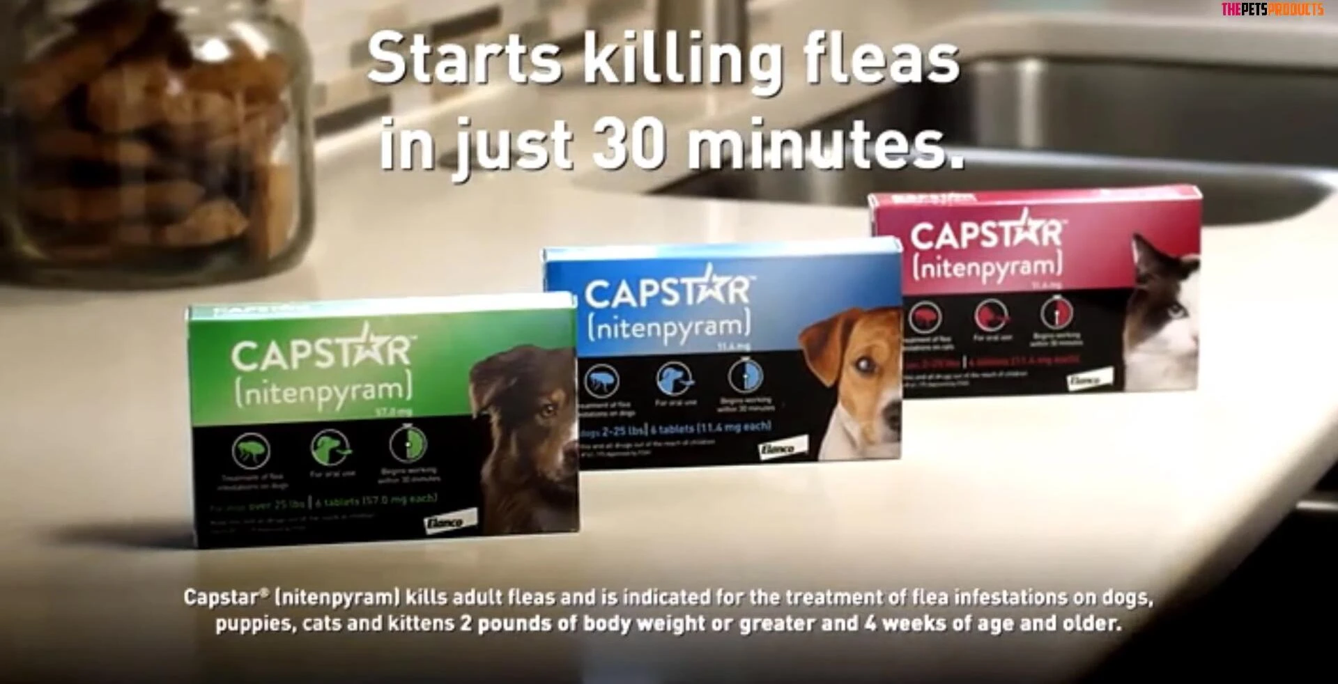 Close-up of Capstar tablets