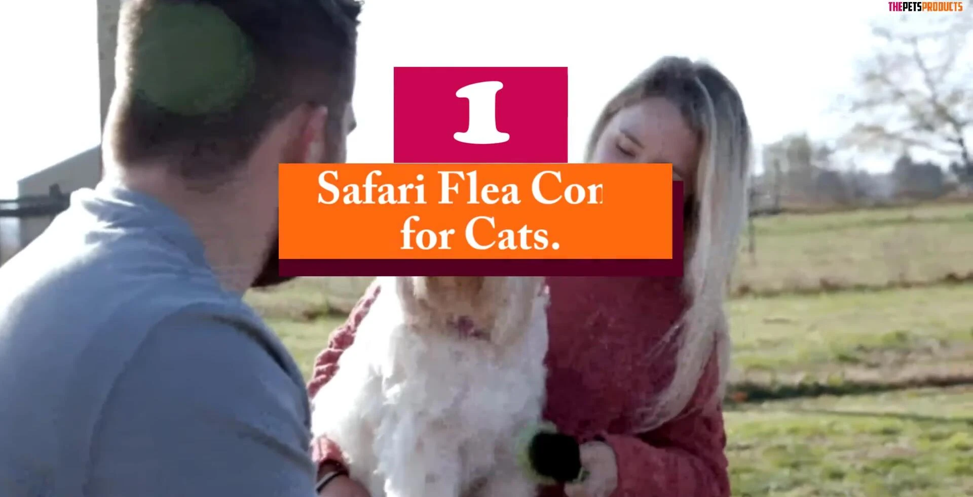 Safari Flea Comb
