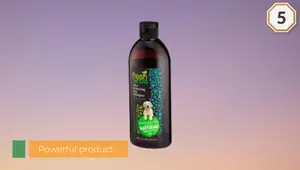 Top 5 Best Dog Shampoos for Odor Control in 2023