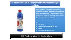 Best Cat Shampoos 2023: Top 10 Cat Shampoo Picks for Healthy, Shiny Fur