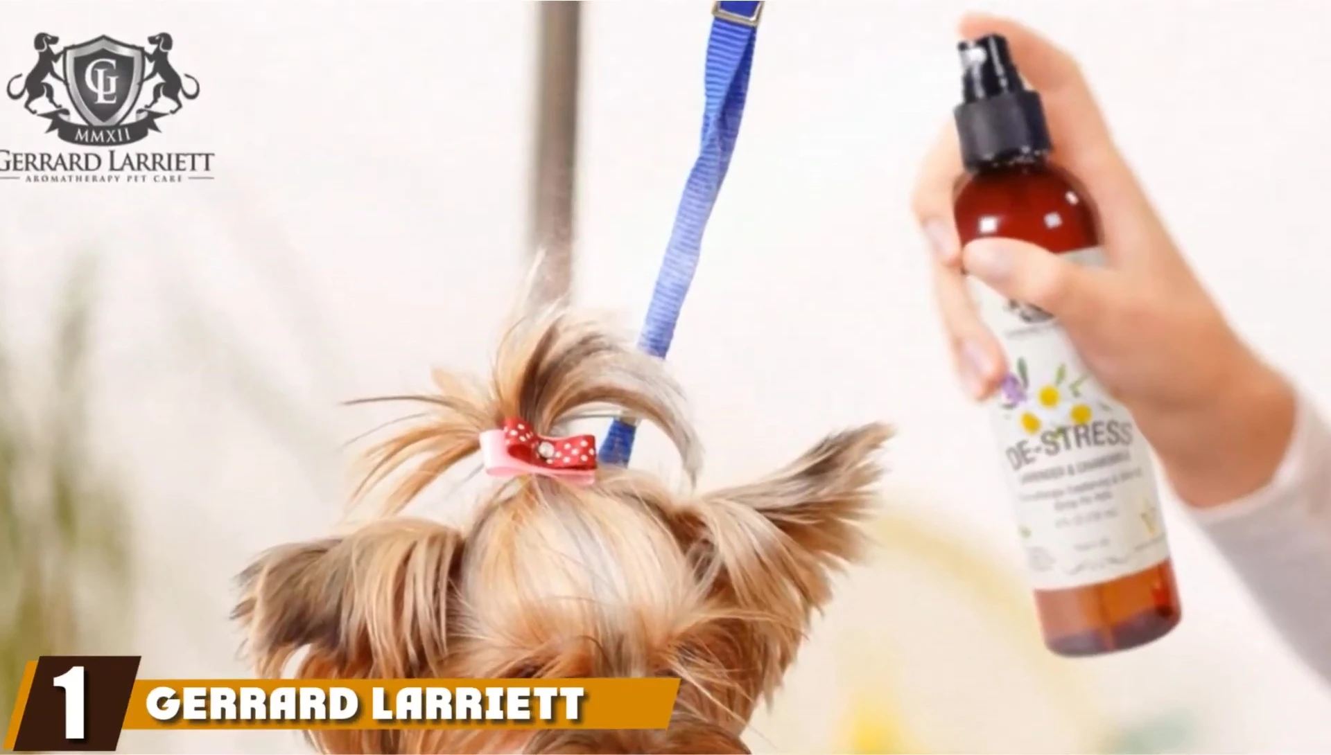 Jared Larrie Aromatherapy Pet Care product bottle