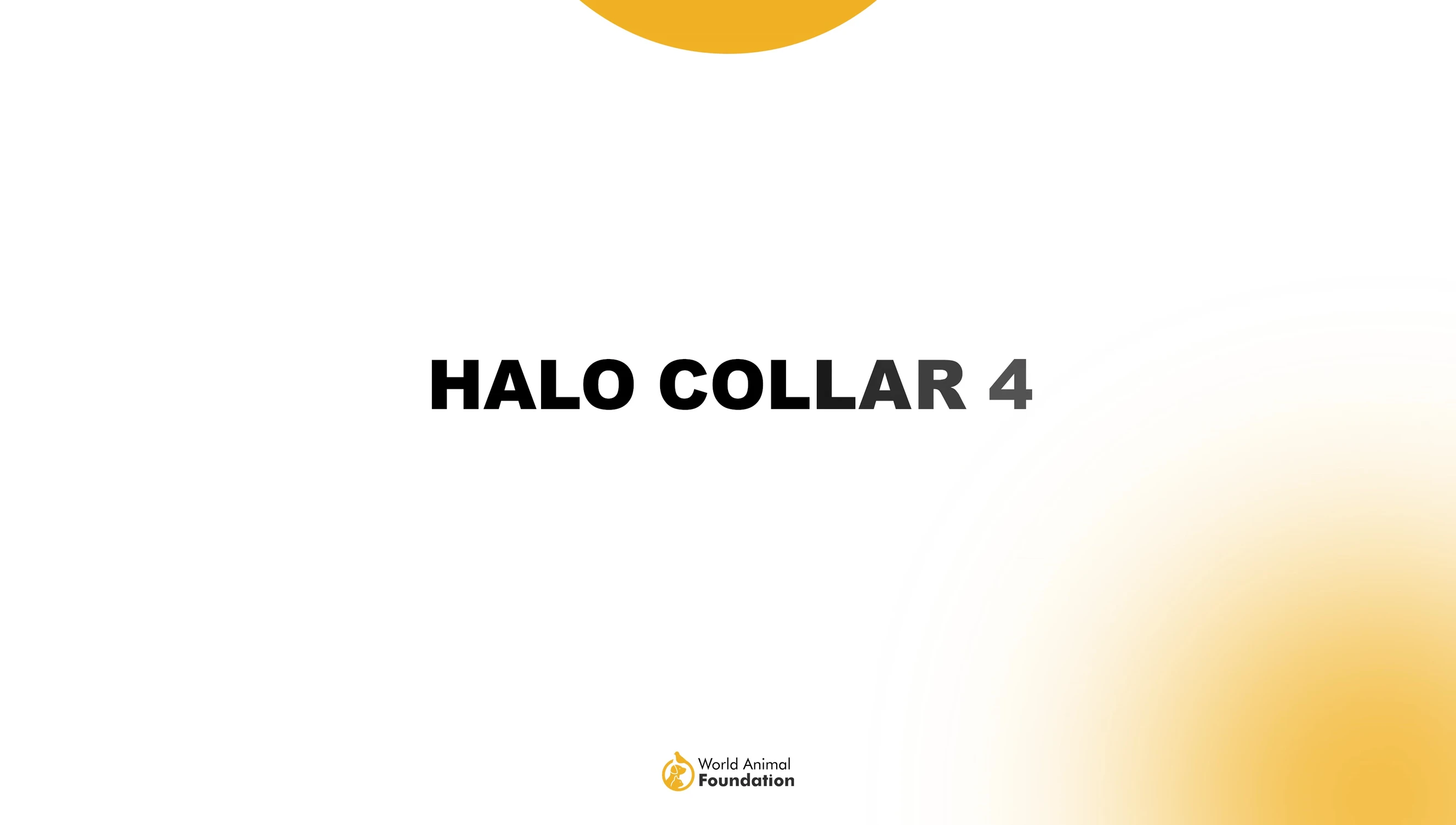 Halo Collar 4