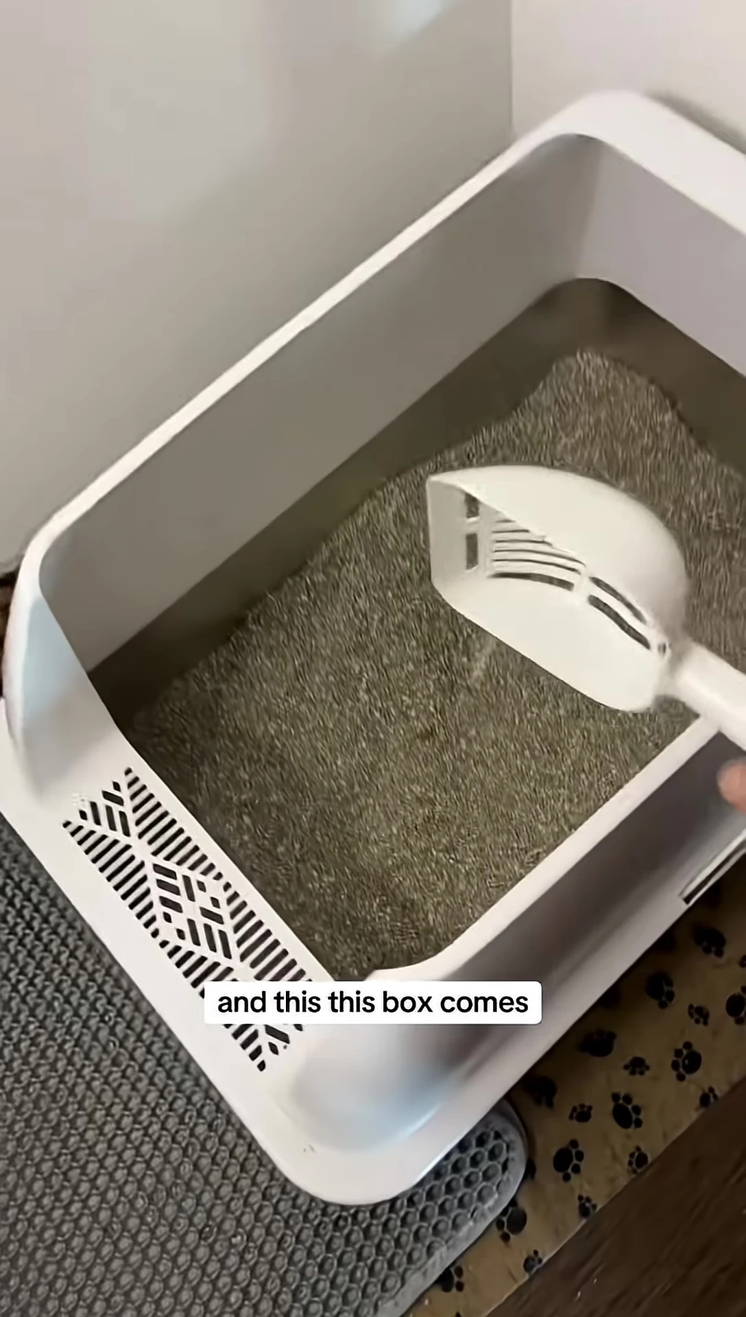 Overall view of the large stainless steel litter box