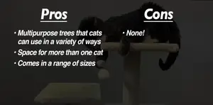 Frisco Cat Trees Review: A Comprehensive Look at 3 Sizes