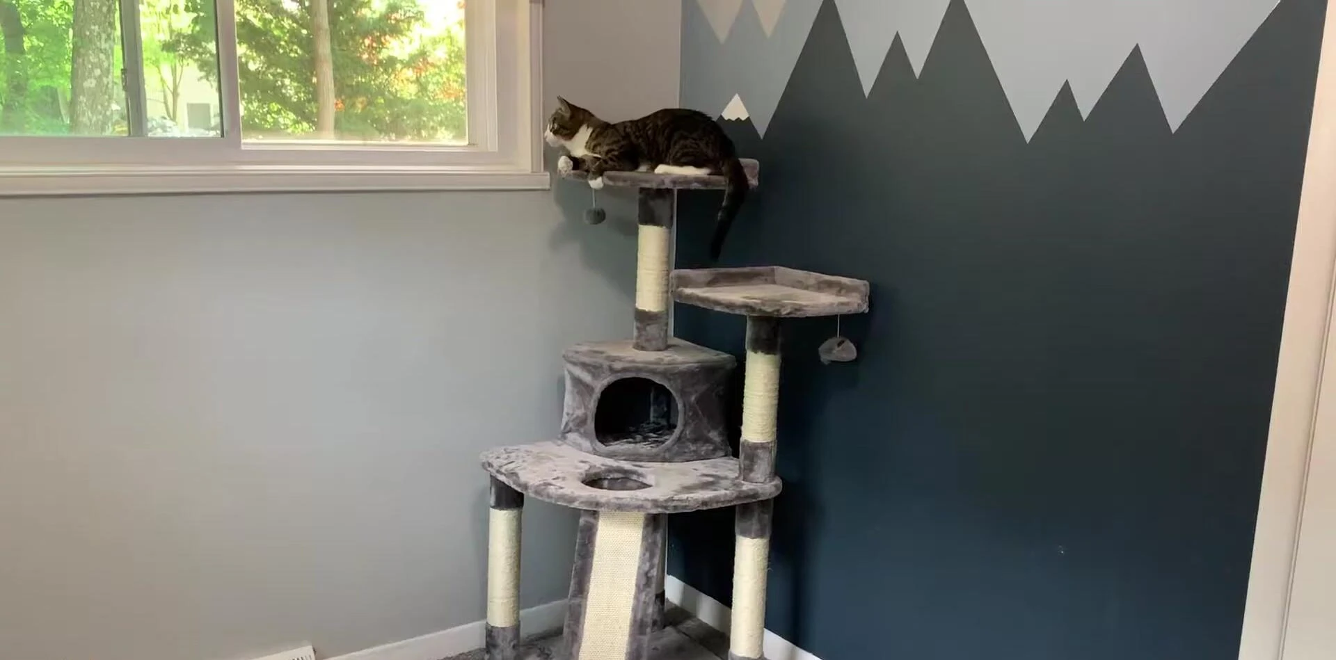 The 48-inch Frisco cat tree in grey color