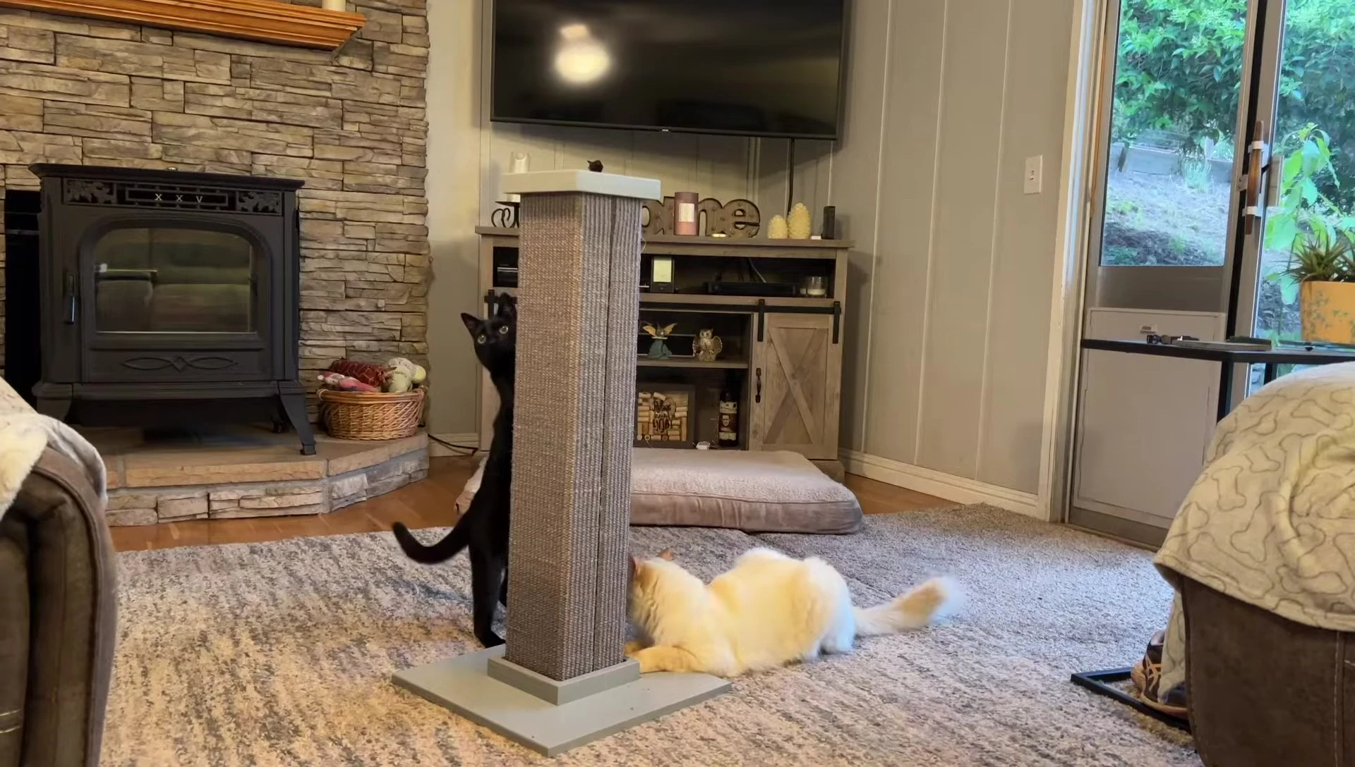 A wide shot showcasing the scratching post in a home environment, emphasizing its aesthetically pleasing design.