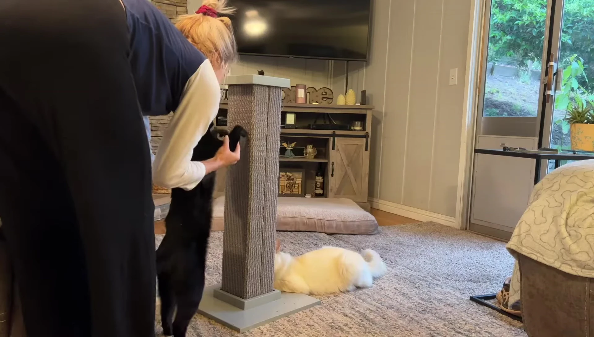 A person demonstrating how to use the scratching post to show their cat.