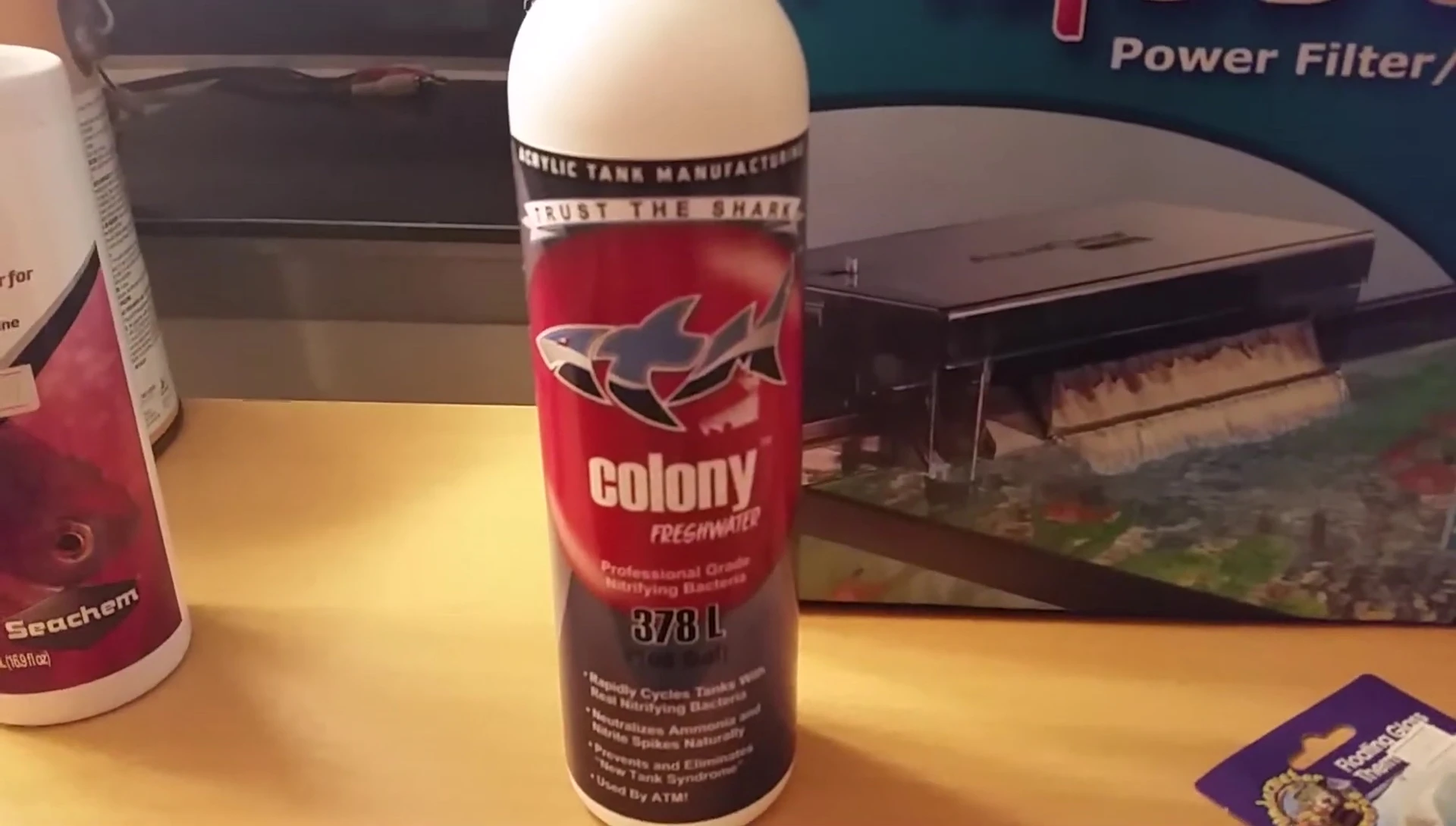 The Colony freshwater bacteria