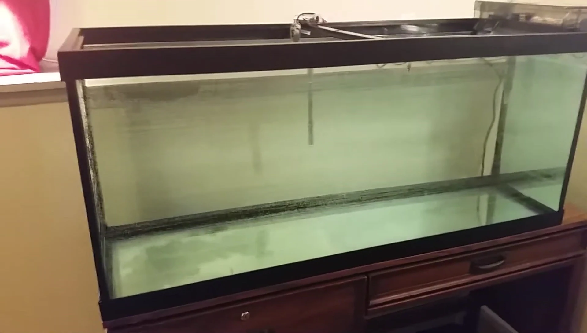 Close-up shot showcasing the tank's dimensions