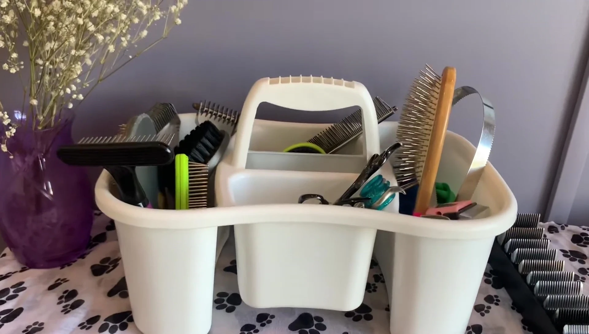 Storage caddy and blade case
