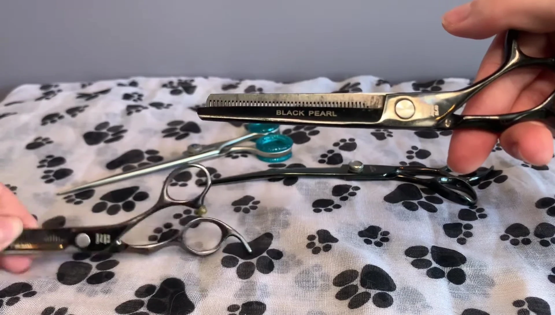 Comparison of old and new thinning shears